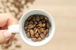 guide-to-coffee-freshness