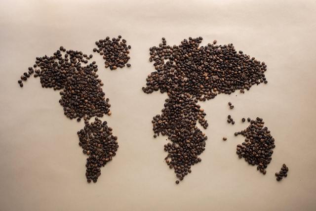 global-coffee-flavor-guides